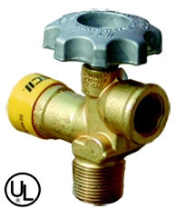 VLV CYL POL ASME - RV POL Service Valve